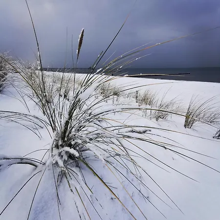 アパート Unsere Perle Im Zentrum Von *