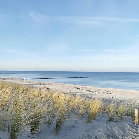 Lejlighed Sonniges Mit Suedterrasse In Zingst